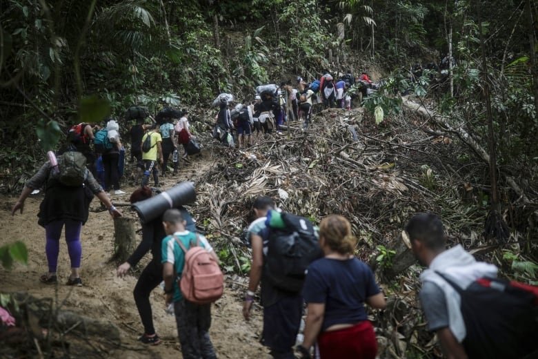 A long line of people carrying backpacks and bags of their belongings hike along a muddy jungle trail.