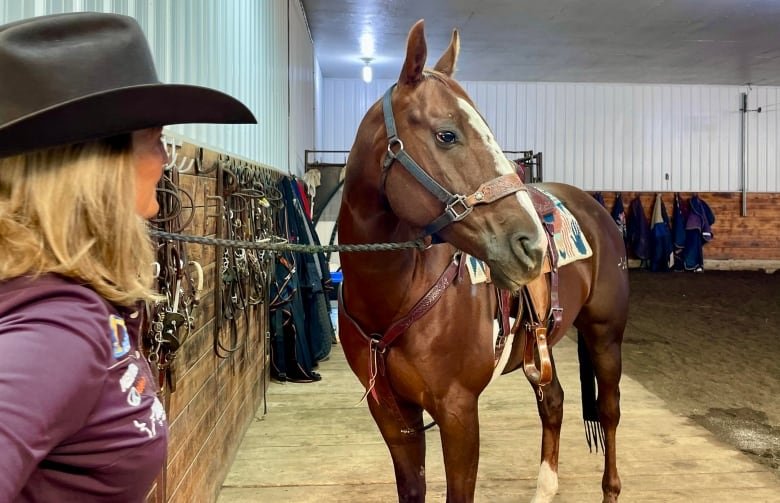 A woman looks on a her horse as he looks to the left of the photo.