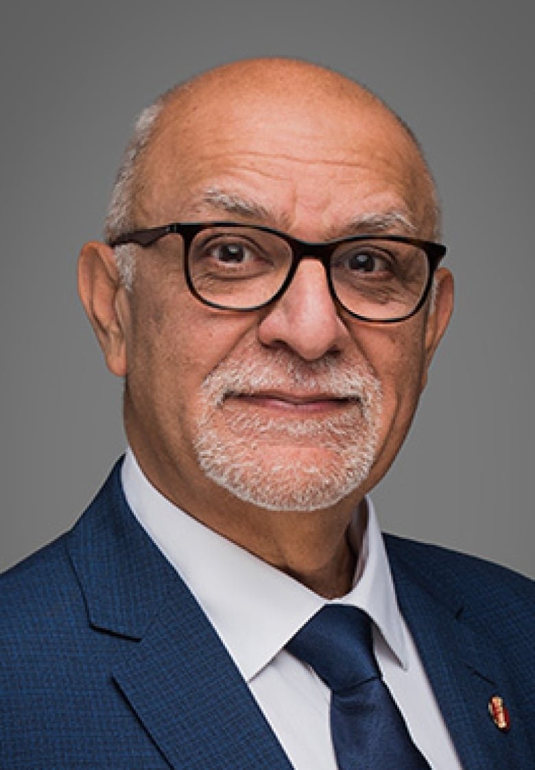 A man with a navy suit, white shirt and tie, wears glasses and looks into the camera. He has a receded hairline, grey hair, a grey moustache and goatee.