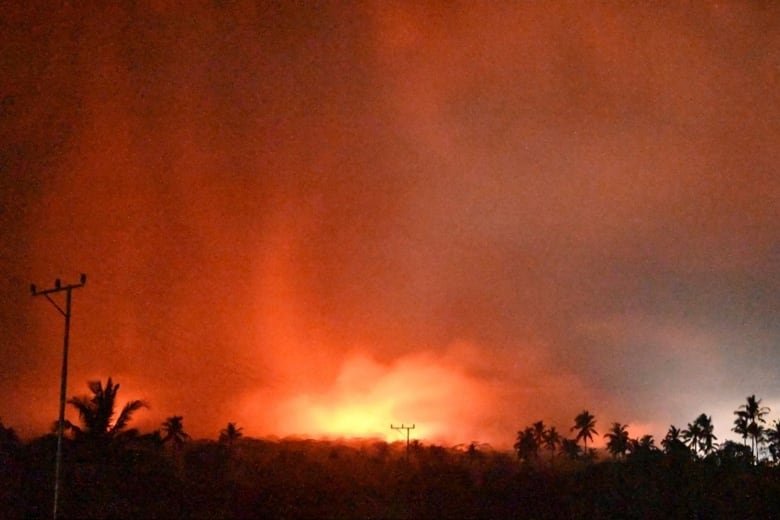 An orange sky is shown above the treeline in a nighttime photo.