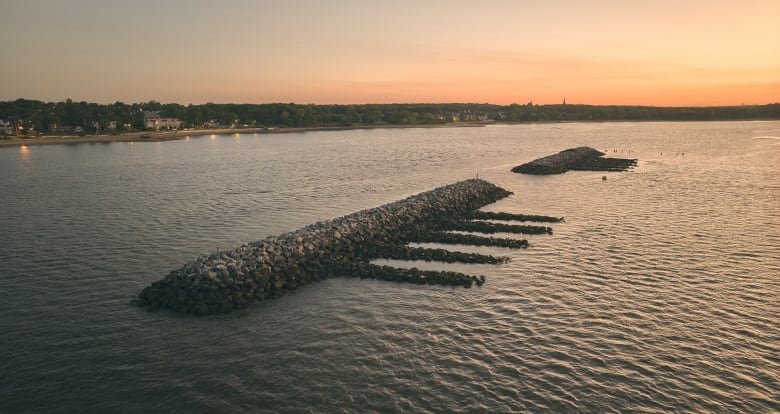 The photo shows a harbour with a living breakwater.