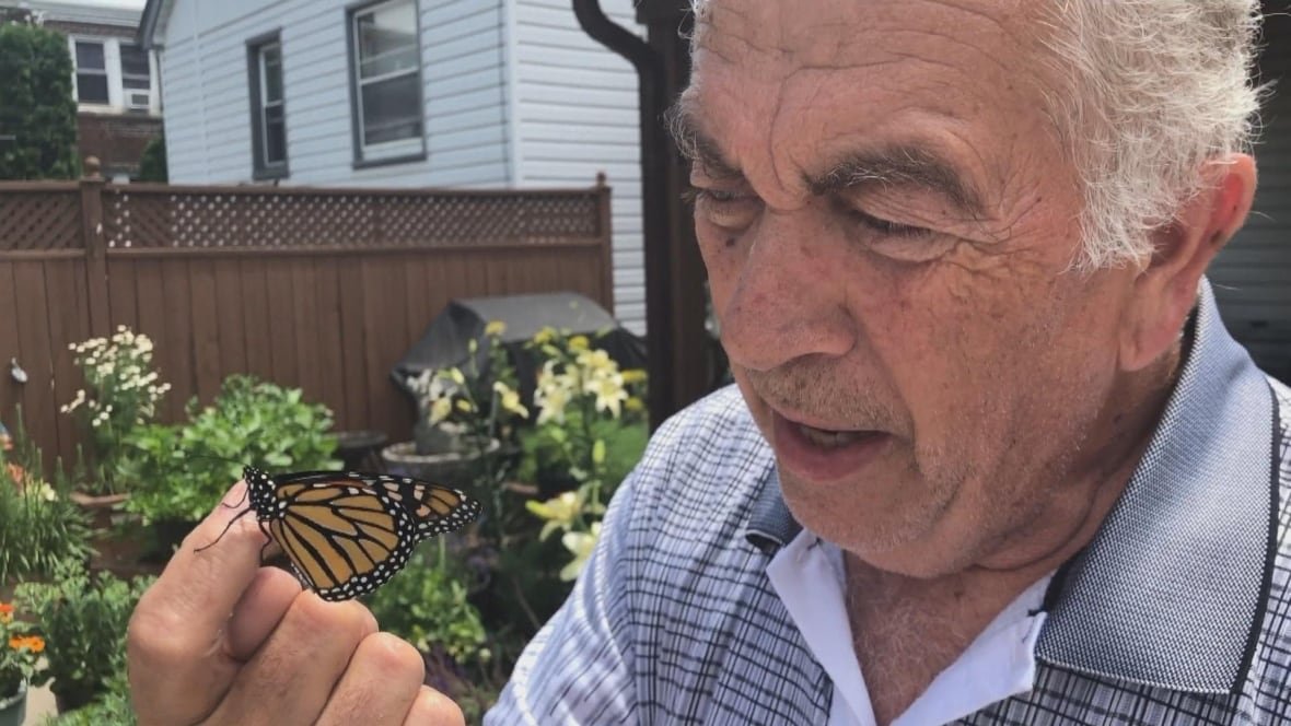 A man is seen looking at his hand which is where a monarch butterfly sits.