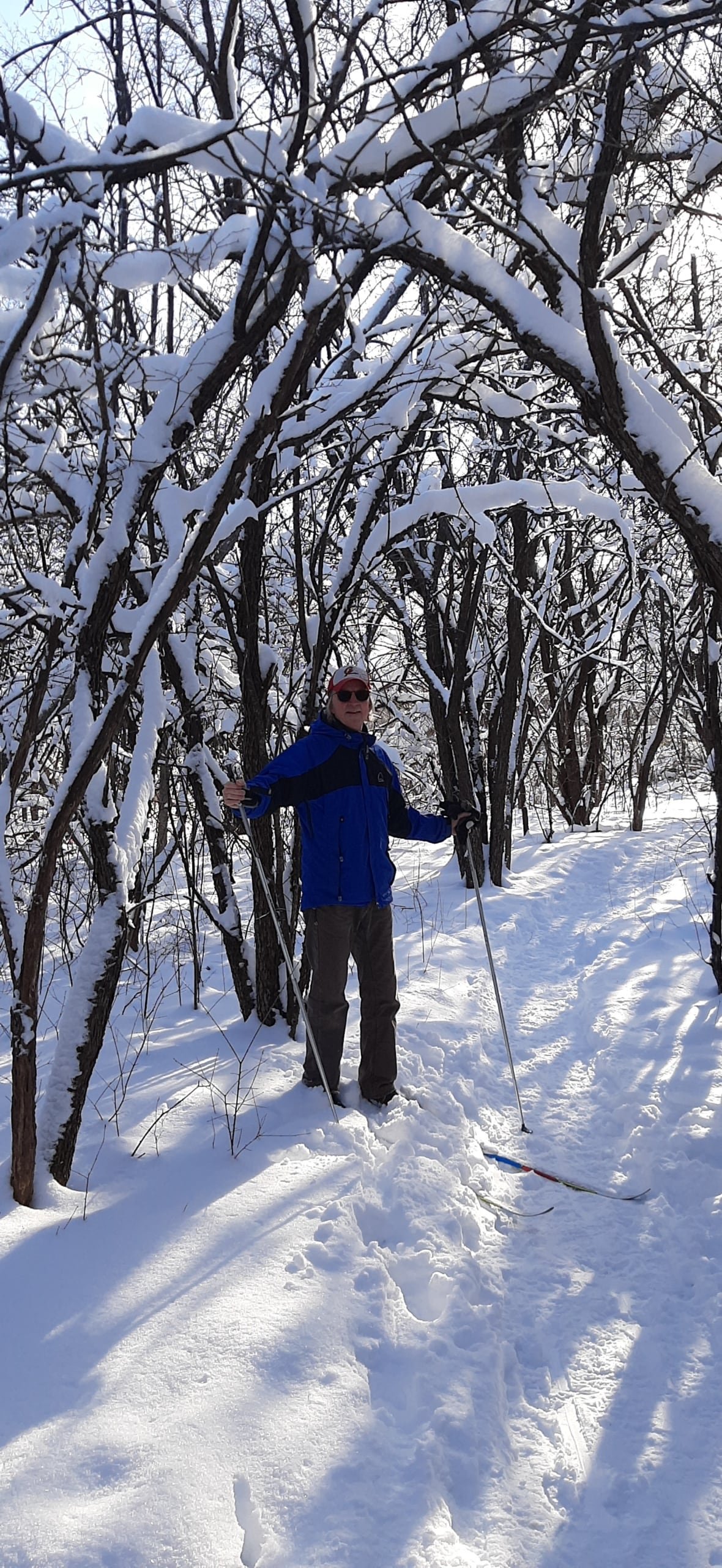 A man stands on cross-country skis surrounded by trees covered in snow.