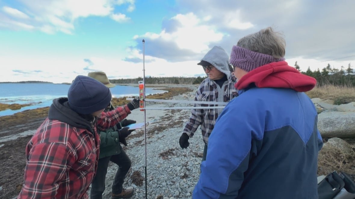 Four people stand on a rocky beach, making measurements using a device made from curtain rods and a level