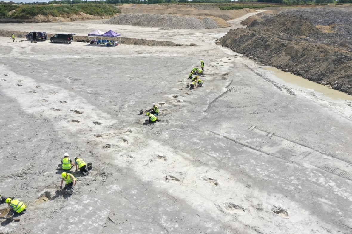 Aerial view of people in high-vis vests crouched over two intersecting sets of dinosaur tracks