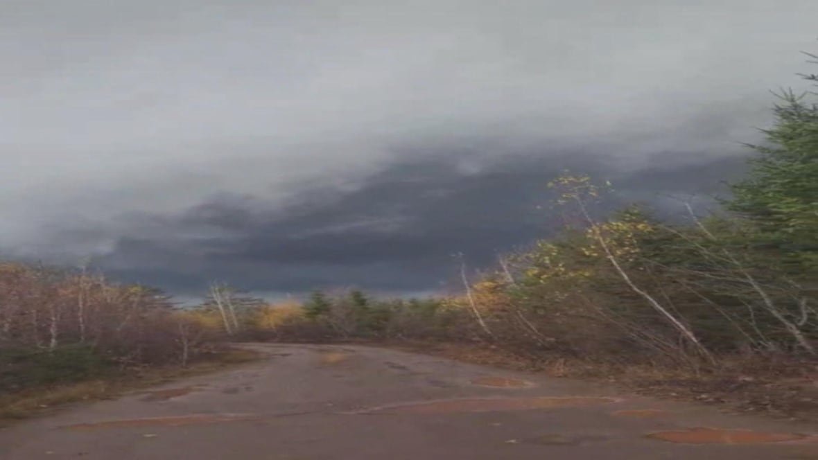 Dark stormy skies and trees blowing in high wind.