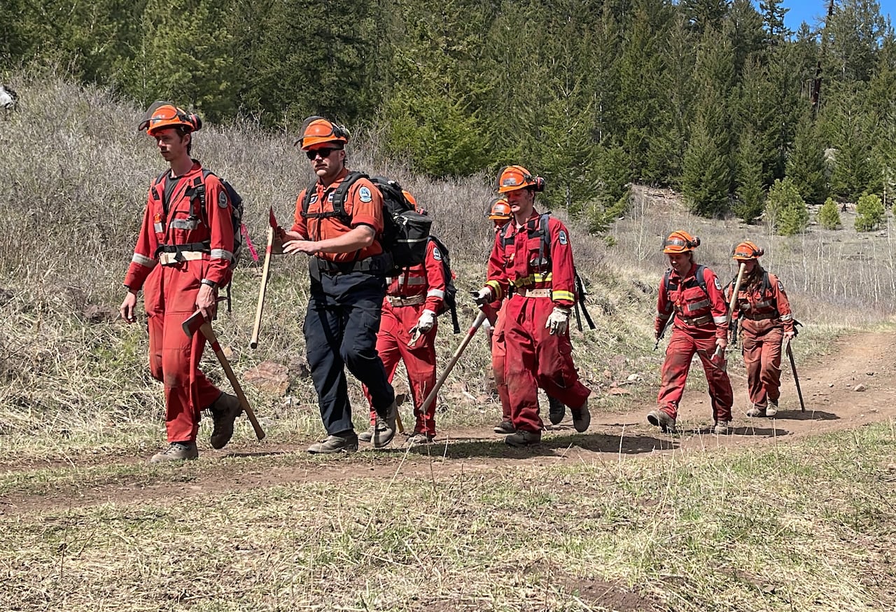 A group of firefighters walk in a line during a sunny day.